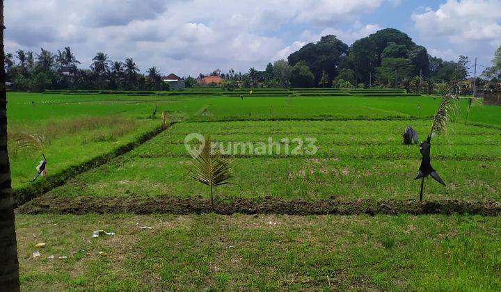 TANAH DEKAT CENTRAL UBUD HARGA MURAH VIEW CANTIK 2