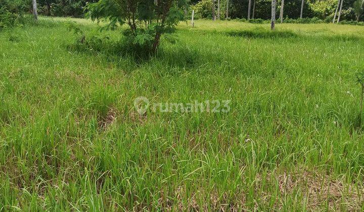 TANAH KAVLING SIAP BANGUN VILLA DEKAT KE CENTRAL UBUD 1