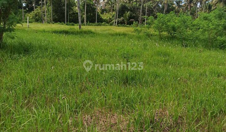 TANAH KAVLING SIAP BANGUN VILLA DEKAT KE CENTRAL UBUD 2