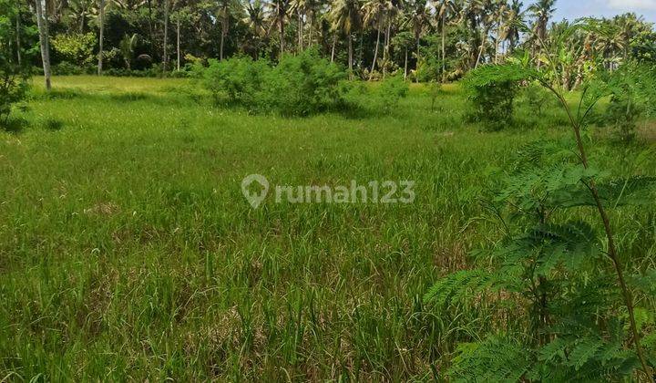 TANAH MURAH DI LODTUNDUH UBUD LINGKUNGAN VILLA 2