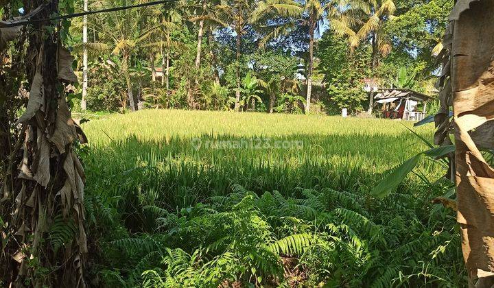 LAND FOR RENT WITH RICE VIEW MAS VILLAGE UBUD READY TO BUILD VILLA 1