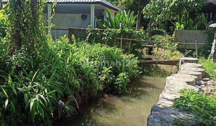 TANAH VIEW SUNGAI DAN JUNGLE CANTIK DI UBUD 2