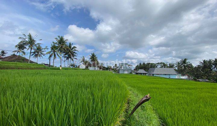 PREMIUM LAND ON THE ROADSIDE OF TIRTA TAWAR UBUD SUITABLE FOR A VILLA 1