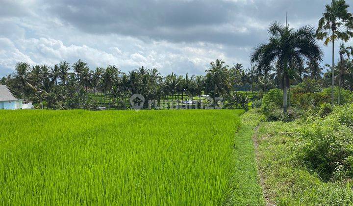 PREMIUM LAND ON THE ROADSIDE OF TIRTA TAWAR UBUD SUITABLE FOR A VILLA 2