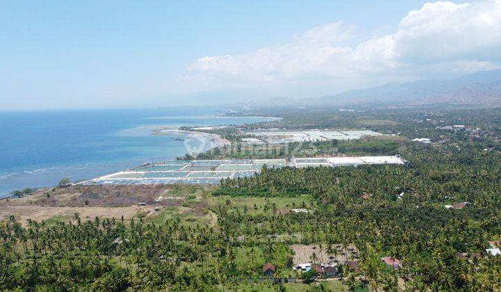 TANAH LOS PANTAI COCOK KOMPLEK VILLA DI SINGARAJA 1