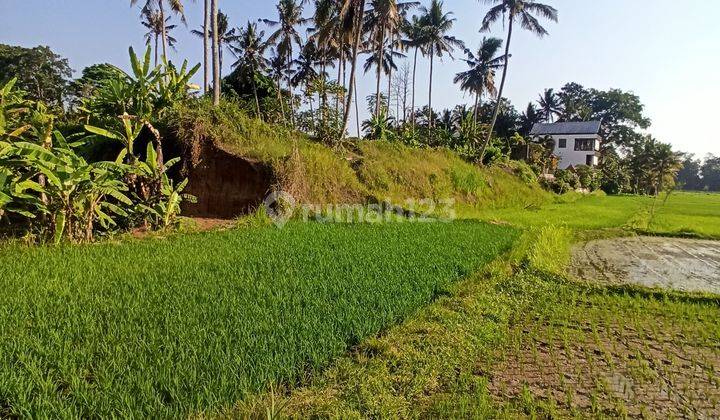 LAND FOR RENT WITH ETERNAL RICE FIELD VIEW IN UBUD AREA SUITABLE FOR VILLAS 1