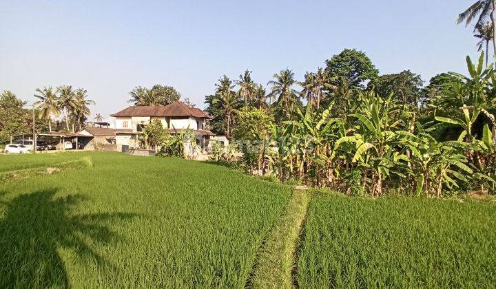 LAND FOR RENT WITH ETERNAL RICE FIELD VIEW IN UBUD AREA SUITABLE FOR VILLAS 2