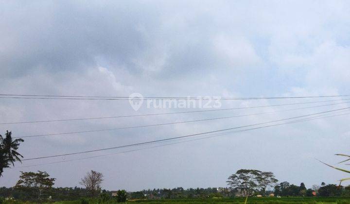 LAND PLOT VILLA IN MAS UBUD READY TO BUILD 1