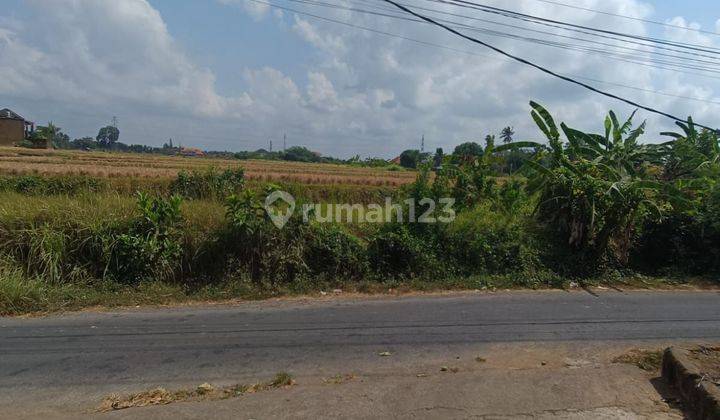 BEAUTIFUL RICE FIELD VIEW LAND WITH VILLA SURROUNDING READY TO BUILD 1