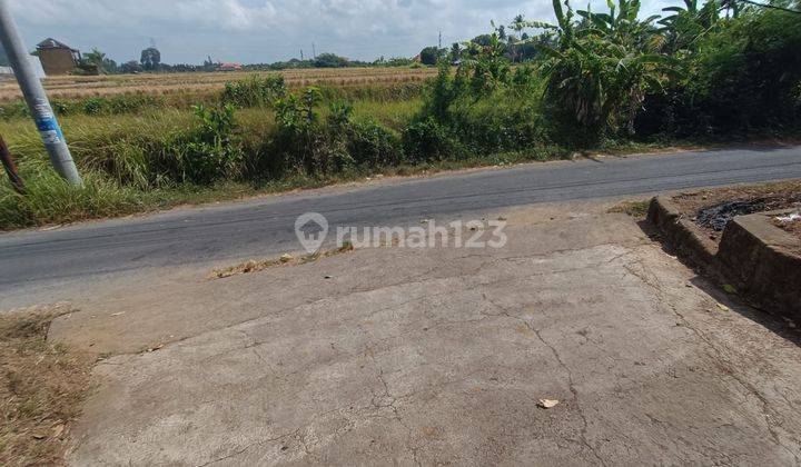 BEAUTIFUL RICE FIELD VIEW LAND WITH VILLA SURROUNDING READY TO BUILD 2