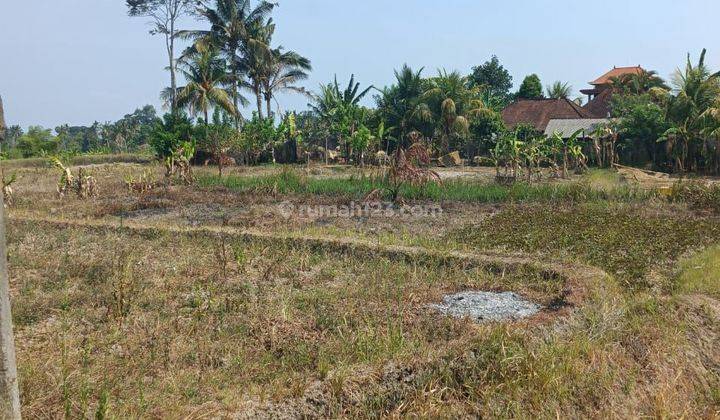 TANAH SEWA VIEW SAWAH CANTIK SIAP BANGUN VILLA RENTALS 1