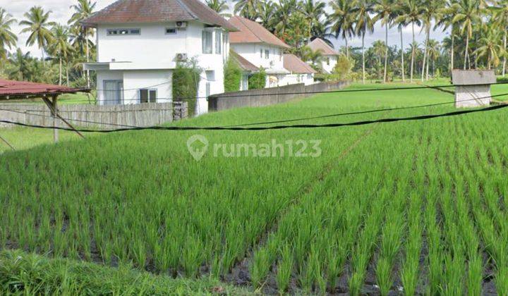 ROAD SIDE LAND SUITABLE FOR RESTAURANT AND HOTEL BEAUTIFUL VIEW 1