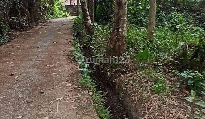 LAND VIEW JUNGLE VILLA ENVIRONMENT CHEAP PRICE 1