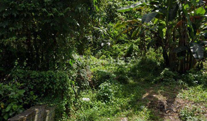 LAND ON THE SIDE OF THE MAIN ROAD WITH JUNGLE RIVER RICE FIELD VIEW 1