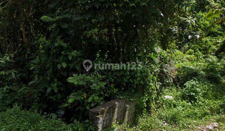 LAND ON THE SIDE OF THE MAIN ROAD WITH JUNGLE RIVER RICE FIELD VIEW 2