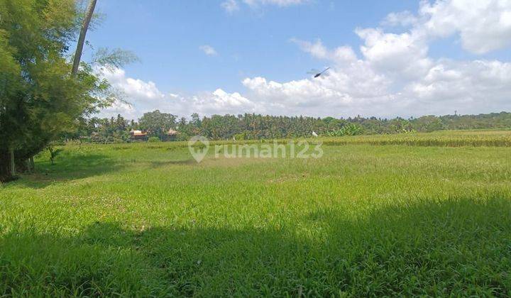 TANAH SEWA VIEW SAWAH KEREN COCOK VILLA RENTALS 1