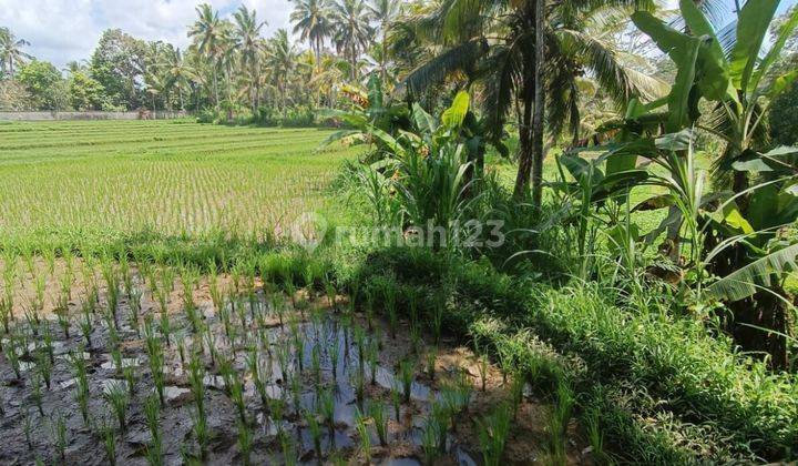 TANAH SEWA VIEW SAWAH JUNGLE SUNGAI KEREN DI KEDEWATAN UBUD 1