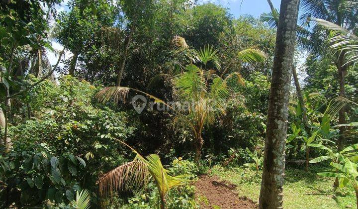 TANAH SEWA VIEW SAWAH JUNGLE SUNGAI KEREN DI KEDEWATAN UBUD 2