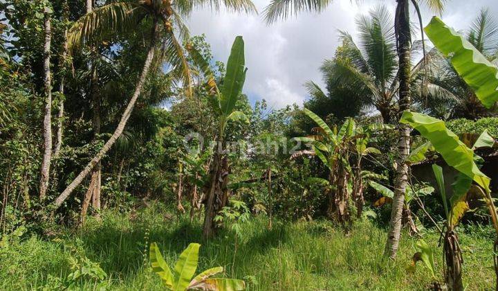 COOLEST CHEAPEST JUNGLE RIVER VIEW LAND IN UBUD 1