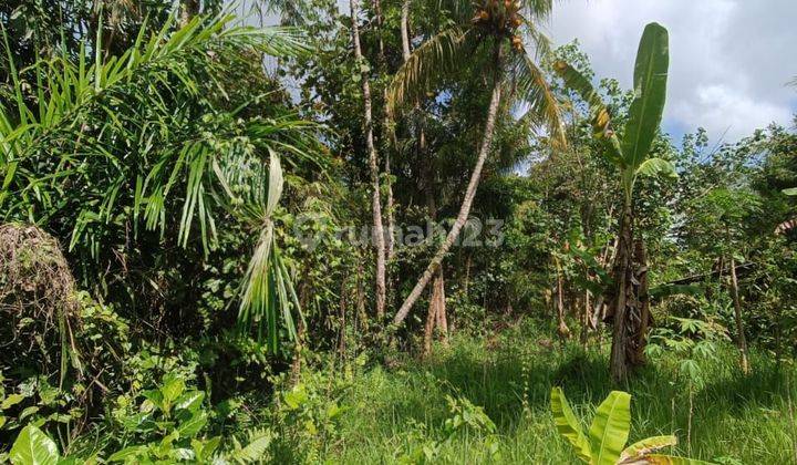 COOLEST CHEAPEST JUNGLE RIVER VIEW LAND IN UBUD 2