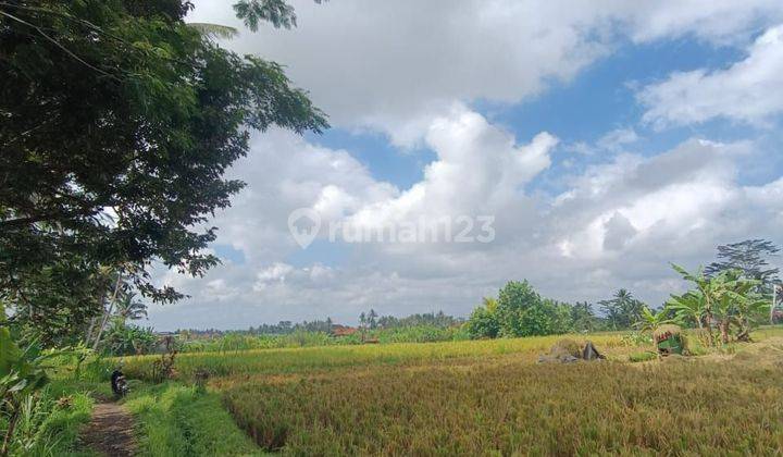 TANAH SEWA VIEW SAWAH HARGA MURAH DI PEJENG KANGIN 1