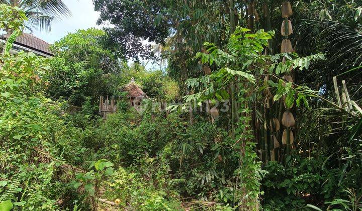 LAND FOR RENT YELLOW ZONE LOS SUNGAI JUNGLE FIELD SUPER COOL UBUD 2