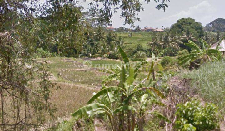 LAND SUITABLE FOR VILLA COMPLEX ZONA YUNING UBUD 1