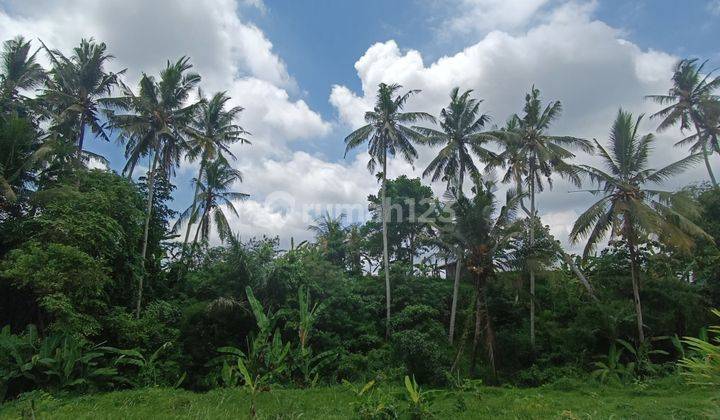 BEAUTIFUL JUNGLE AND RICE FIELD VIEW LAND PRICE ACCEPT SHM 1