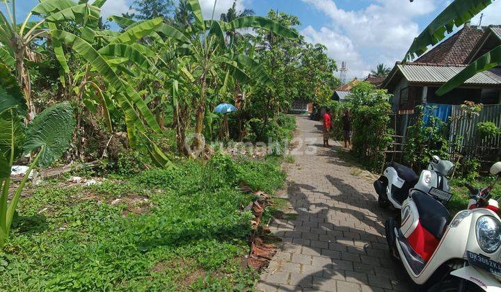 LAND NEAR UBUD CENTER VILLA ENVIRONMENT 2