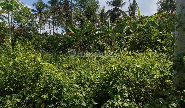 LAND NEAR UBUD CENTER READY TO BUILD CHEAP PRICE 1