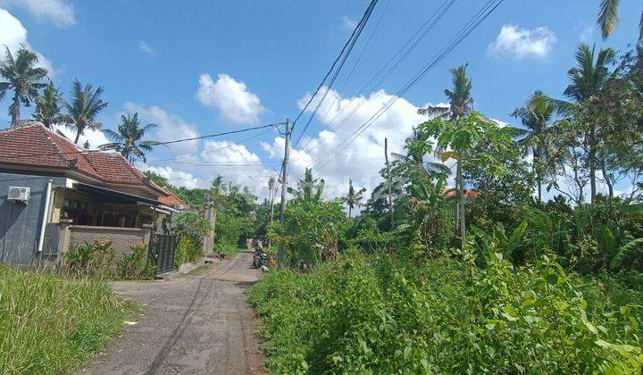 LAND NEAR UBUD CENTER READY TO BUILD CHEAP PRICE 2