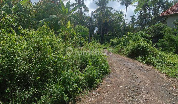 CHEAPEST LAND IN LODTUNDUH UBUD READY TO BUILD VILLA 2