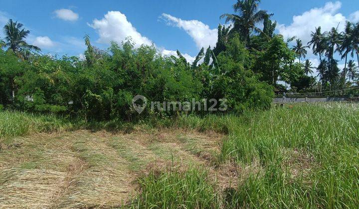 LAND PLOT IN LODTUNDUH VILLA COMPLEX UBUD 1