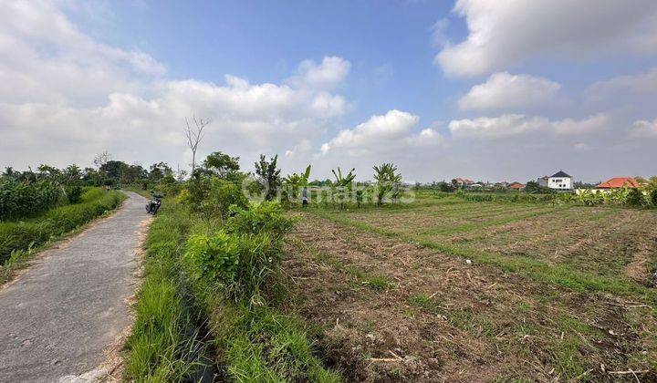 CHEAP PLOT LAND IN ABIANSEMAL BADUNG 2