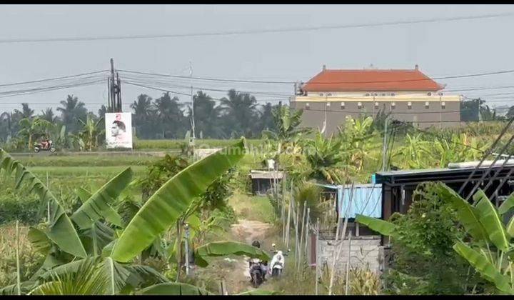 CHEAP PLOT LAND IN ABIANSEMAL BADUNG 1