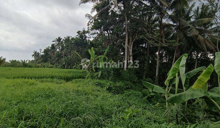 TANAH VIEW SAWAH DAN SUNGAI KEREN DI DEKAT CENTER UBUD  1