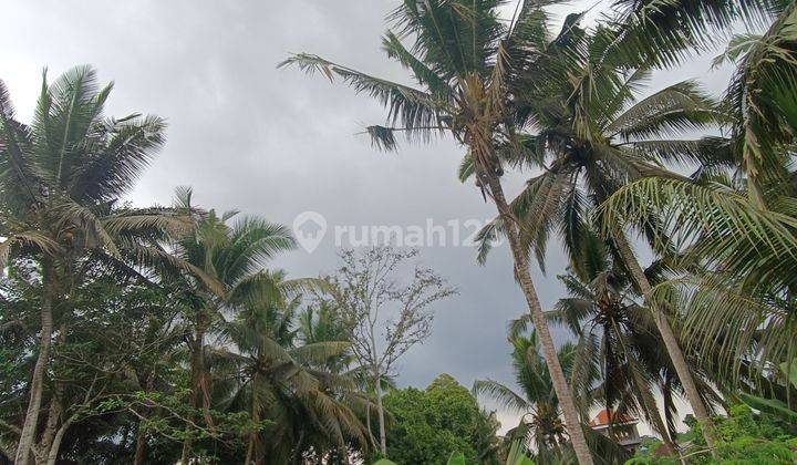 TANAH VIEW SAWAH DAN SUNGAI KEREN DI DEKAT CENTER UBUD  2