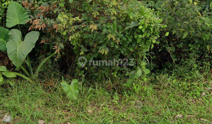 TANAH VIEW SAWAH CANTIK DI MAS UBUD COCOK VILLA RENTAL  1