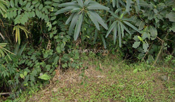 TANAH VIEW SAWAH CANTIK DI MAS UBUD COCOK VILLA RENTAL  2