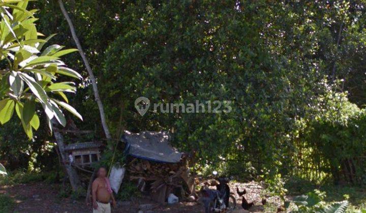 TANAH LOS SUNGAI JUNGLE UKURAN KECIL DI UBUD  1