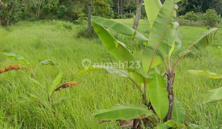 NICE VIEW VILLA ENVIRONMENT LAND SUITABLE FOR INVESTMENT  1