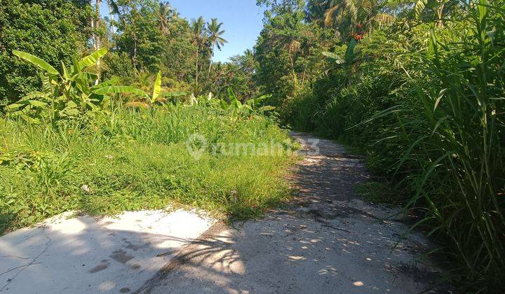 CHEAPEST LAND IN UBUD SUITABLE AREA FOR VILLA COMPLEXES  1