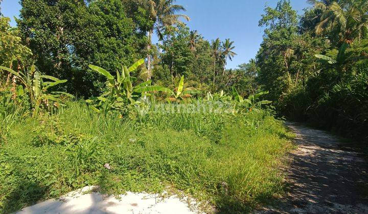 CHEAPEST LAND IN UBUD SUITABLE AREA FOR VILLA COMPLEXES  2