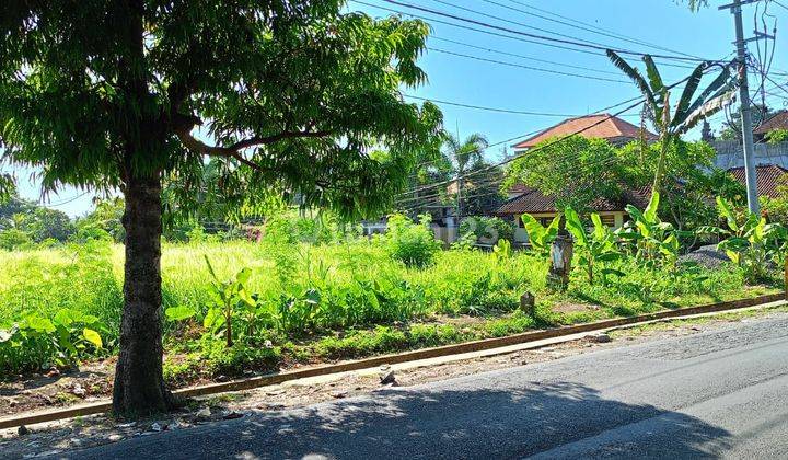 TANAH SEWA CENTRAL UBUD VIEW SAWAH PINGGIR JALAN RAYA SAYAN 1