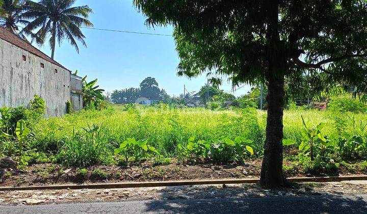 TANAH SEWA CENTRAL UBUD VIEW SAWAH PINGGIR JALAN RAYA SAYAN 2