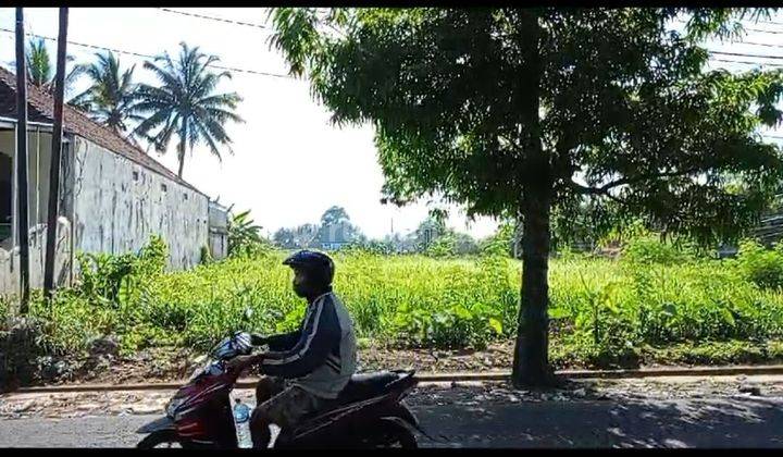 TANAH SEWA CENTRAL UBUD VIEW SAWAH PINGGIR JALAN RAYA SAYAN 2