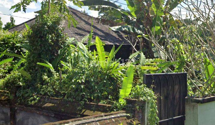 OLD VILLA BONUS LAND IN CENTER UBUD CHEAP PRICE  1