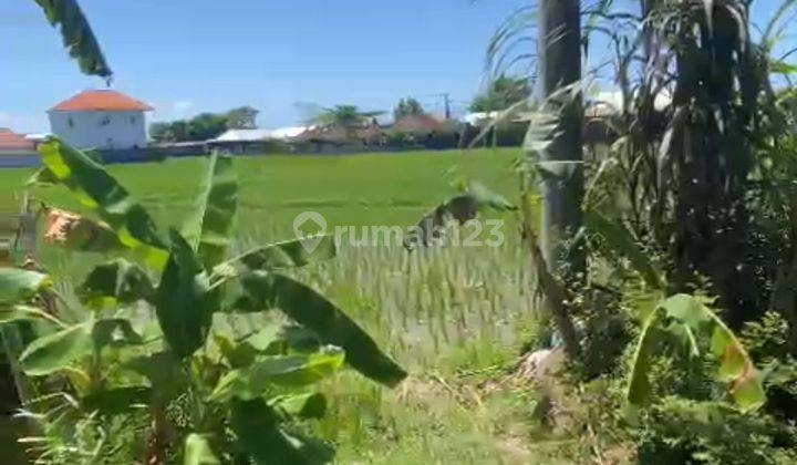 TANAH PINGGIR JALAN LINGKUNGAN VILLA CEMAGI VIEW SAWAH  2