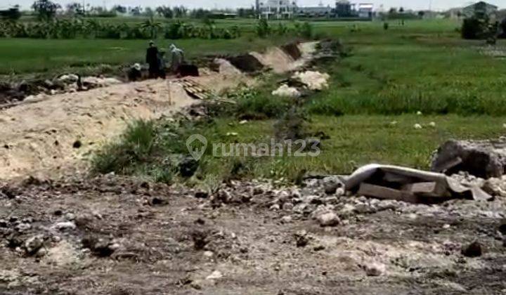 TANAH KAVLING CEMAGI SIAP BANGUN VIEW SAWAH KEREN  1