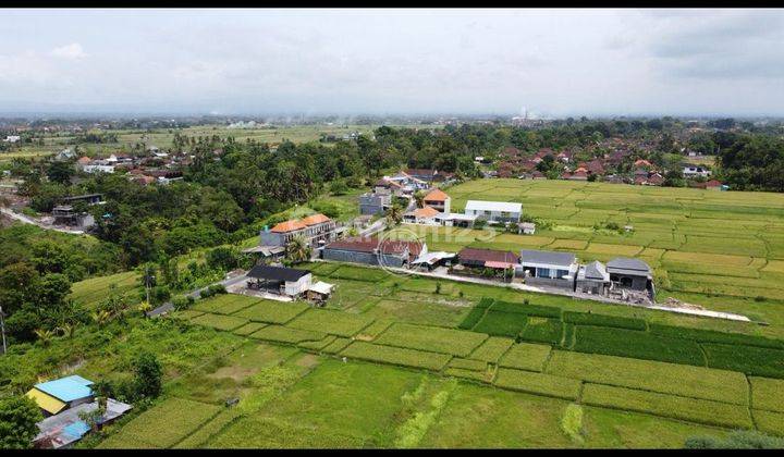 TANAH KAVLING VILLA DI CANGGU AREA HARGA MURAH  1